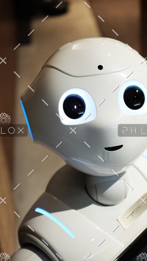 demo-attachment-86-alex-knight-199368-unsplash